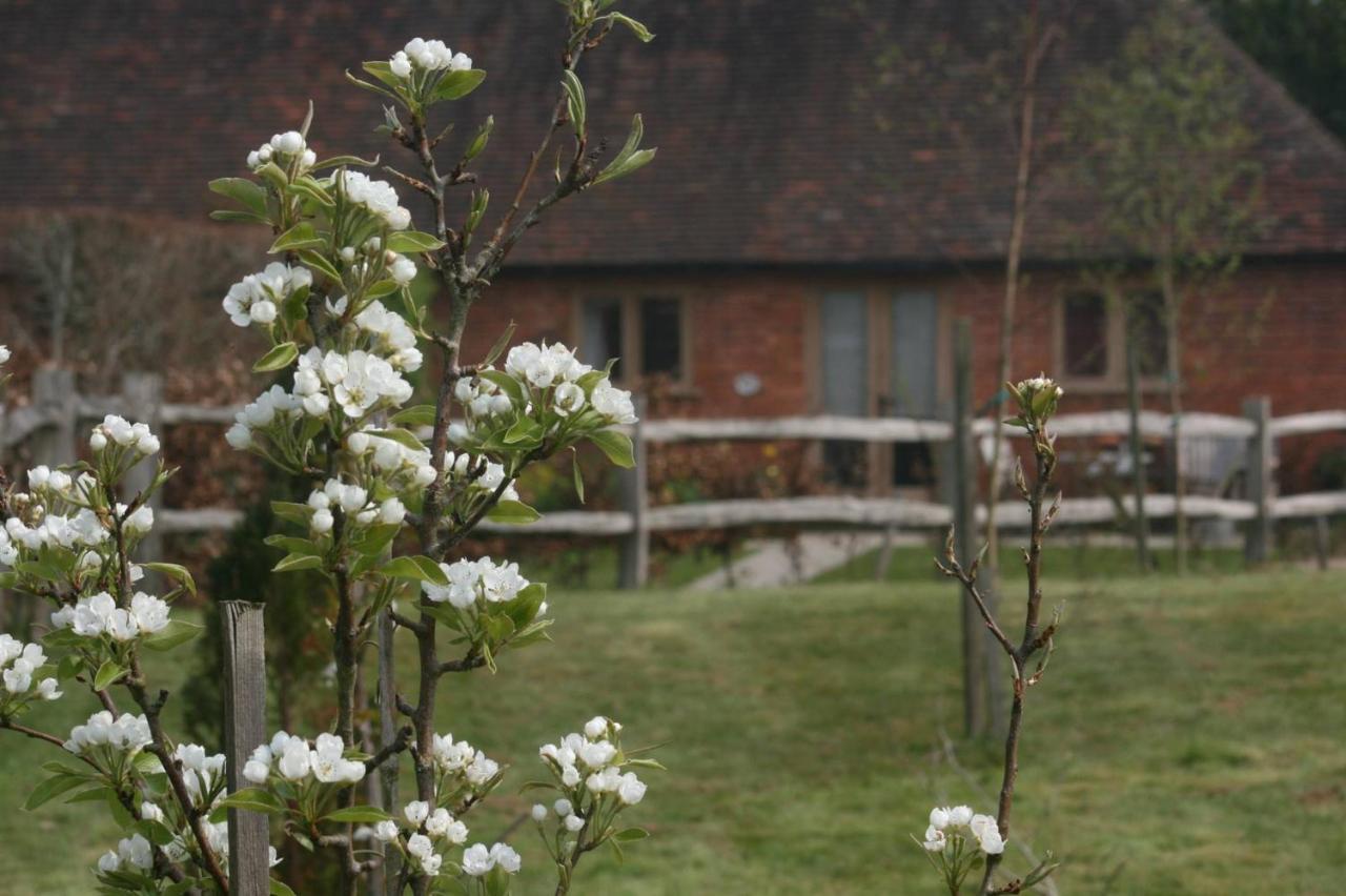 Three Chimneys Farm Accommodation Goudhurst Exterior photo